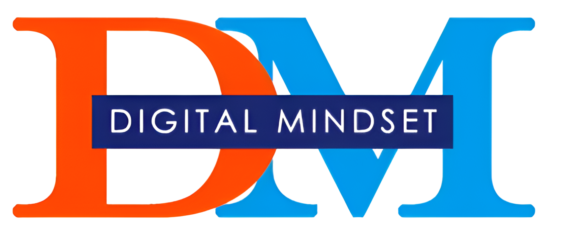 DIGITAL MINDSET INC